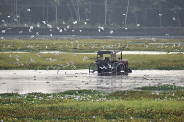tractor in field
