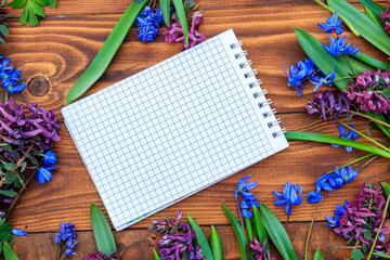 Blank notepad and bouquet of purple corydalis flowers and blue scilla flowers on wooden background