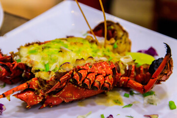 Delicious grilled lobster in a white plate in restaurant