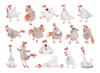 Collection of funny illustrations of rooster and hen. Comic birds.