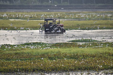 tractor in the field