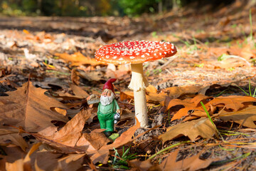 Cheerful gnome and red fly agaric home
