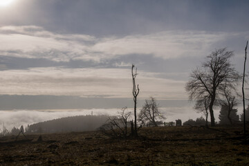 Inversion weather condition near the german village Neuastenberg