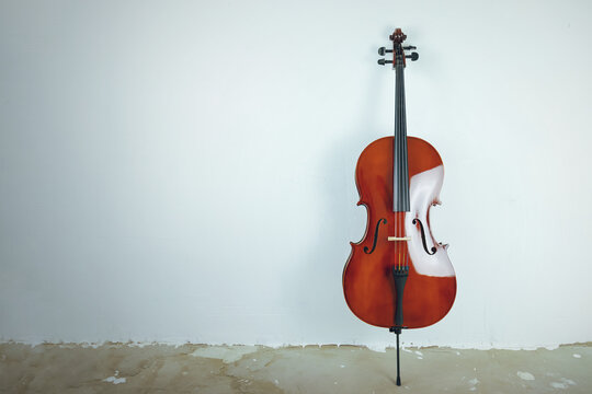 Mahogany cello on a white background.	
