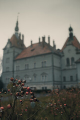Shenborn French Counts Palace Karpaty Villge, Carpathian Region (Oblast)m Zakarpattia, Renaissance