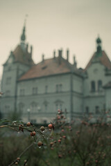 Shenborn French Counts Palace Karpaty Villge, Carpathian Region (Oblast)m Zakarpattia, Renaissance