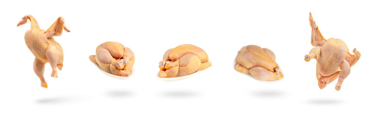 Set of raw chickens isolated on white background from different angles. Raw corn chicken is organically raised.