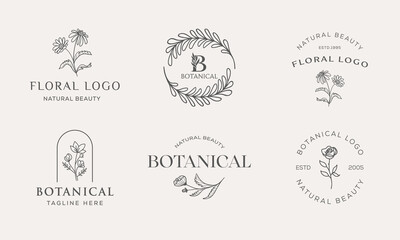 Set of Botanical Floral element Hand Drawn Logo with Wild Flower and Leaves. Logo for spa and beauty salon, boutique, organic shop, wedding, floral designer, interior, photography, cosmetic.