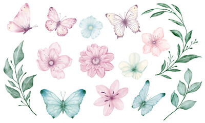 Set of flowers, leaves and butterflies for Valentine's Day