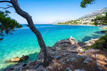 amazing crystal clear water of adriatic sea in Brela on Makarska riviera in Dalmatia in Croatia