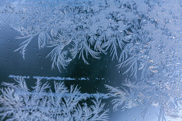 Winterliche Eisblumen an Fensterscheibe