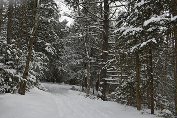 Mont Singer Ruiter Vallée 5 Février 2022