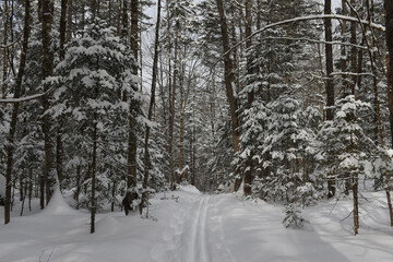 Mont Singer Ruiter Vallée 5 Février 2022