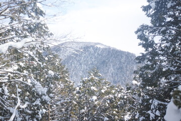 雪山登山