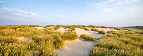 Crédence de cuisine en verre imprimé Panoramique Dune beach panorama with beach grass