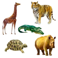 Obraz na płótnie Canvas Watercolor illustration, set. Wild animals painted in watercolor. Tiger, giraffe, turtle, crocodile rhino.
