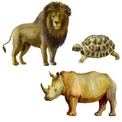 Watercolor illustration, set. Wild animals painted in watercolor. Lion, turtle, rhino.