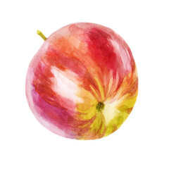 Watercolor illustration. Red Apple. Hand drawing watercolor.