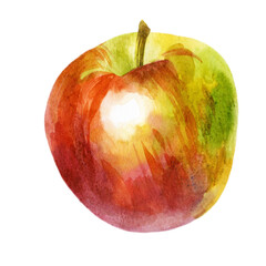 Watercolor illustration. Red Apple. Hand drawing watercolor.