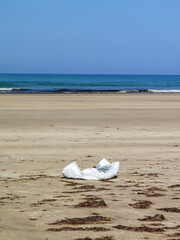 Fototapeta na wymiar Plastic trash thrown in the beach