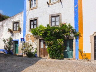 Fototapeta na wymiar The street with flowers in a medieval town Obidos in Portugal 