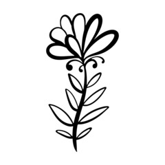 Vector illustration of a floral sketch in a linear style. Beautiful botanical floral design. The drawing of the plant is hand-drawn. Black outline on a white background. Design element for creativity.
