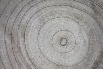 Abstract background. Wood texture. Annual rings on a saw cut tree close-up.