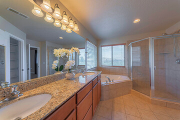 Traditional master bathroom with ceramic tiles and vanity sinks with flower vase on granite top