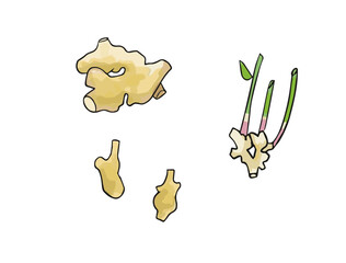 しょうがのイラストセット