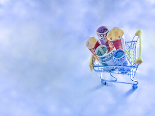 concept - Shopping Cart Trolleys with money, dollars and Israeli new shekels on light background