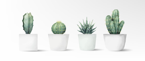 Watercolor cactus minimal collection in cement pot vector design