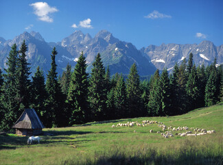 Rusinowa Polana and the Tatra (Tatry) Mountains, Poland