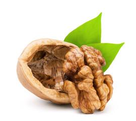 Walnut isolated. Ripe walnut isolated on white background.