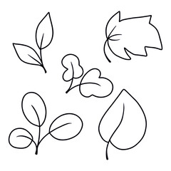 line drawings of leaves