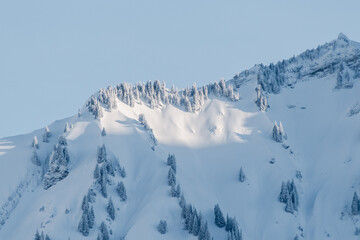 Baumformation auf einem Bergkamm wird von der Sonne angestrahlt und ist mit Puderschnee...