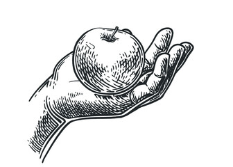 Hand holding apple. Vector engraving illustration for web, poster. Hand drawn design element isolated on white background.