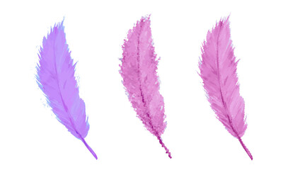 Set of isolated watercolor feathers 
