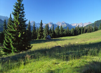 Fototapeta na wymiar Rusinowa Polana and the Tatra (Tatry) Mountains, Poland