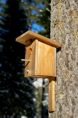 Wooden birdhouse attached to a pine tree