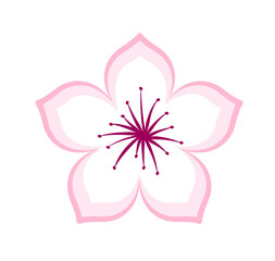 Cherry blossom graphic icon design. Vector illustration.