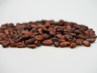 Cocoa seeds