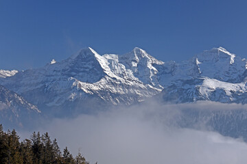 Fototapeta na wymiar Aussicht von Niederhorn, Berner Alpen, Schweiz
