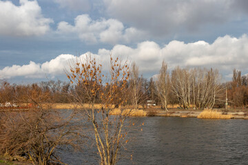 Landscape - clouds, river, trees without leaves