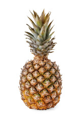 Fototapeta premium Pineapple