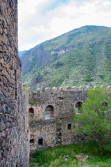 Fototapeta na wymiar the ancient fortress of Khertvisi stands on a high hill