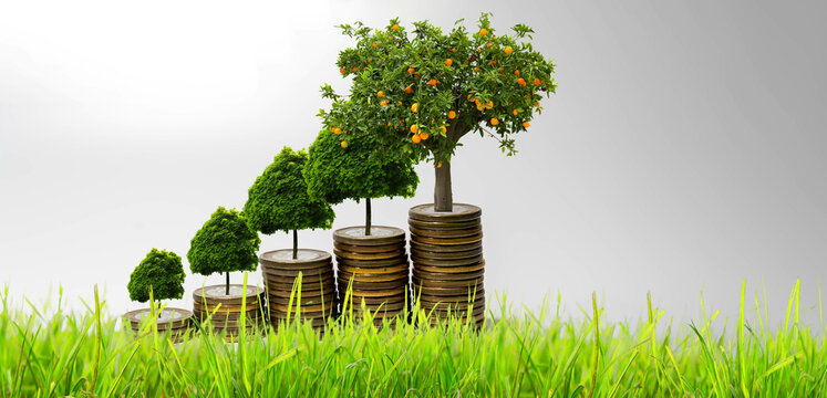 Increasing Piles Of Coins with growing  plant on top. Investment and Saving concept