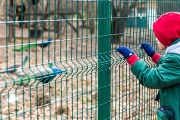 A teenager looks through a metal fence at peacocks