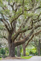 Obraz premium creative