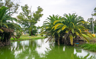Fototapeta na wymiar Lagoon in Republic of Children in Argentina