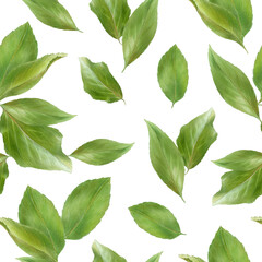 Naklejka premium Pattern with green apricot leaves, watercolor illustration